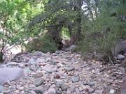 Tonto Natural Bridge 039